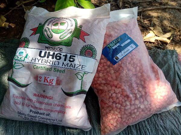 Read more about the article Aina 29 Mpya za Mbegu za Mazao