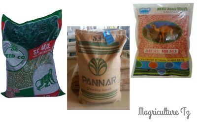 Read more about the article Zifahamu Mbegu Bora za Mahindi