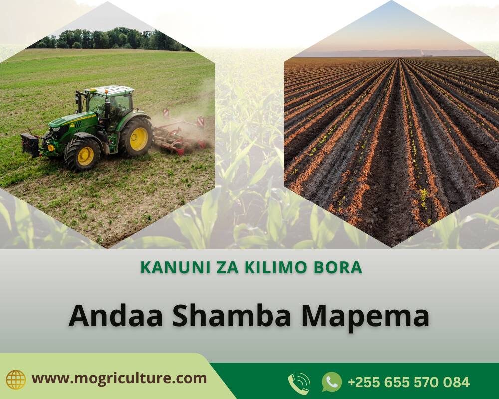 Andaa shamba mapema