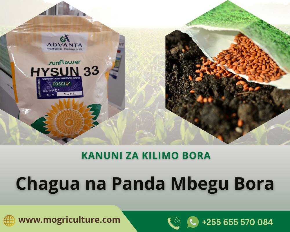 Chagua na panda mbegu bora
