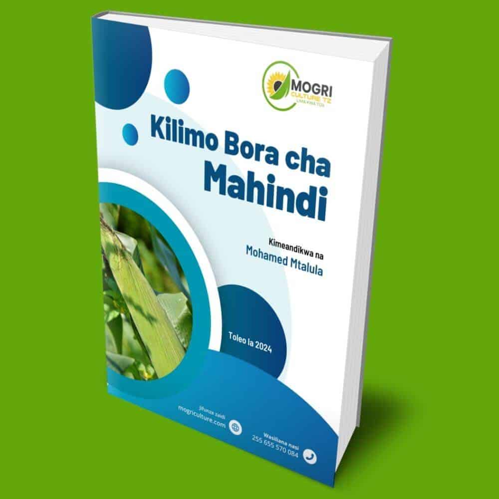 ebook-kilimo-bora-cha-mahindi