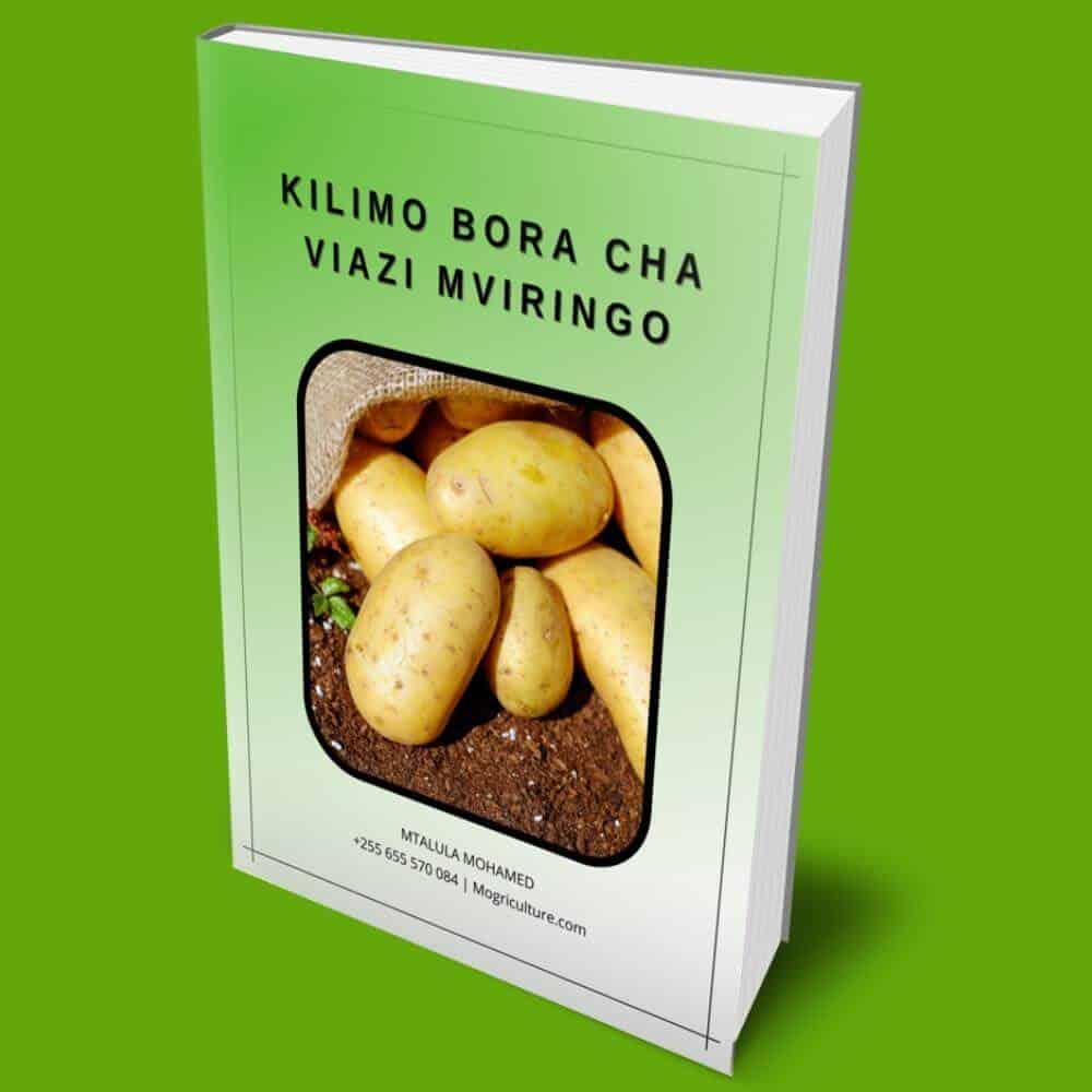 ebook-kilimo-bora-cha-viazi-mviringo