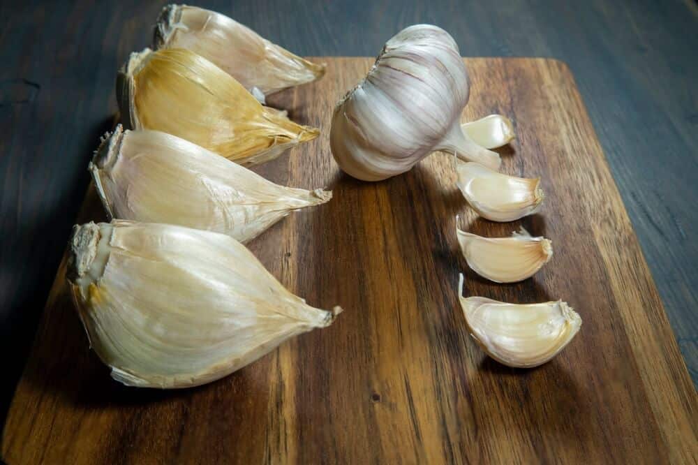 uwiano wa punje za elephant garlic na vitunguu saumu vya kawaida